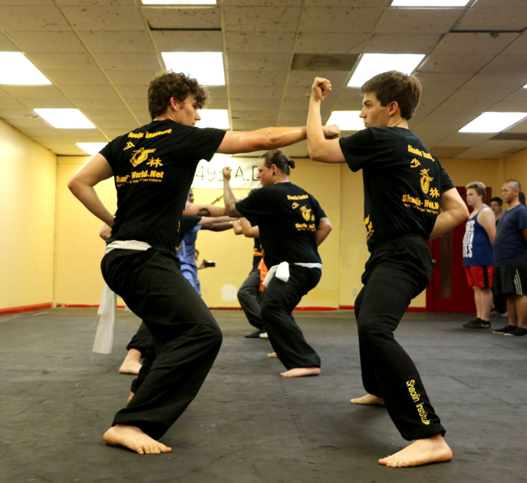 Adult Martial Arts & Kung Fu Class Shaolin Institute